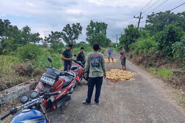 Nampak sejumlah pemuda Raas tengah memperbaiki jalan utama yang rusak parah dengan cara swadaya. ©Okedaily.com