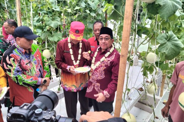 Wakil Bupati Sumenep, KH. Imam Hasyim, mencicipi langsung manisnya buah melon hasil smart farming holtikultura di Desa Kasengan. ©Okedaily.com [Foto: Sutrisno JNN]