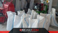 Proses pembuatan pupuk organik