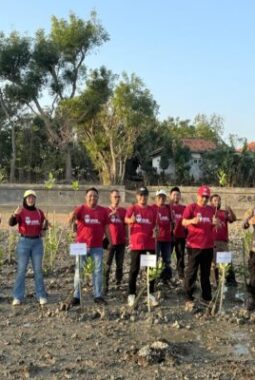 JMSI Sumenep Tanam Mangrove di Pantai Matahari, Dorong Kepedulian Pers terhadap Lingkungan Pesisir