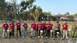 Penanaman bibit mangrove di Pantai Matahari, Desa Lobuk, Kecamatan Bluto, Kabupaten Sumenep, Madura. ®okedaily.com [foto: Ong kabar Madura]