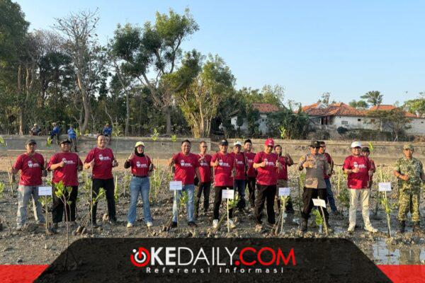 Penanaman bibit mangrove di Pantai Matahari, Desa Lobuk, Kecamatan Bluto, Kabupaten Sumenep, Madura. ®okedaily.com [foto: Ong kabar Madura]