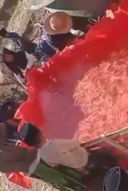 Pohon Asam Terus Dibabat, Warga Gendang Barat Menjerit Kekeringan